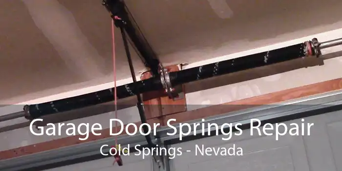 Garage Door Springs Repair Cold Springs - Nevada