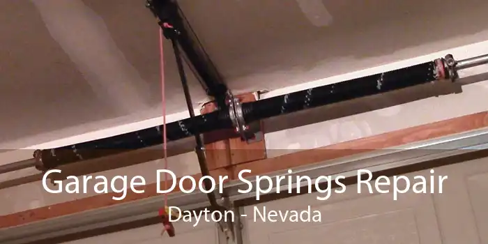 Garage Door Springs Repair Dayton - Nevada