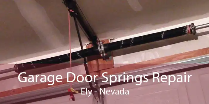 Garage Door Springs Repair Ely - Nevada