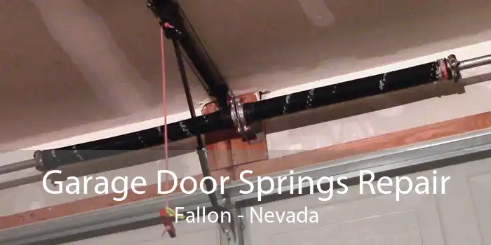 Garage Door Springs Repair Fallon - Nevada
