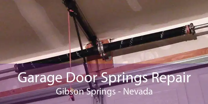 Garage Door Springs Repair Gibson Springs - Nevada