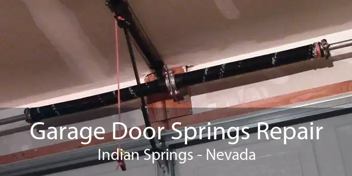 Garage Door Springs Repair Indian Springs - Nevada