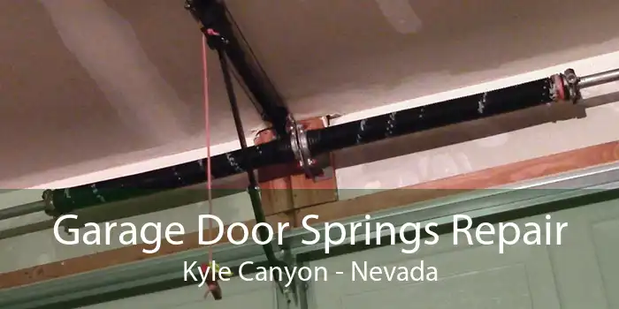 Garage Door Springs Repair Kyle Canyon - Nevada