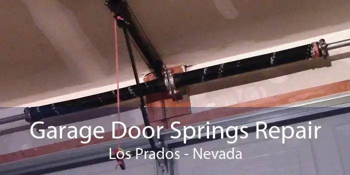 Garage Door Springs Repair Los Prados - Nevada