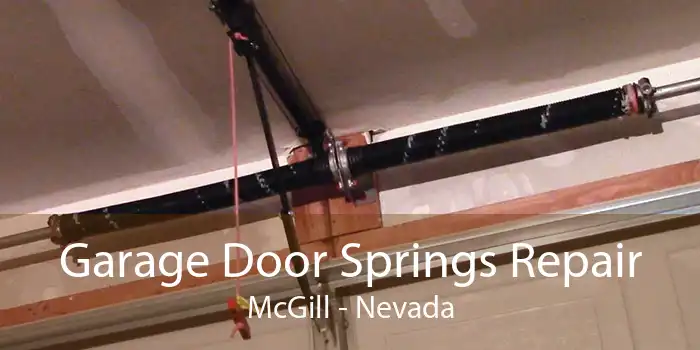 Garage Door Springs Repair McGill - Nevada