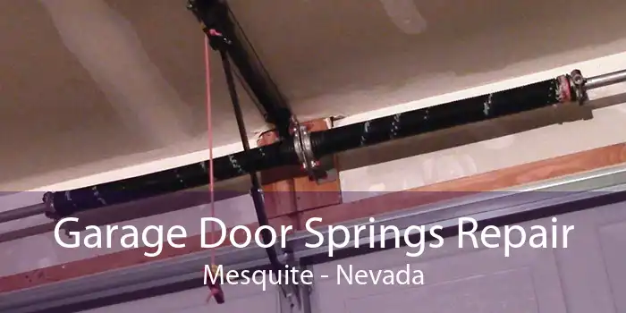 Garage Door Springs Repair Mesquite - Nevada