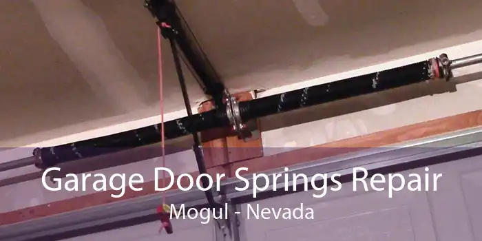 Garage Door Springs Repair Mogul - Nevada