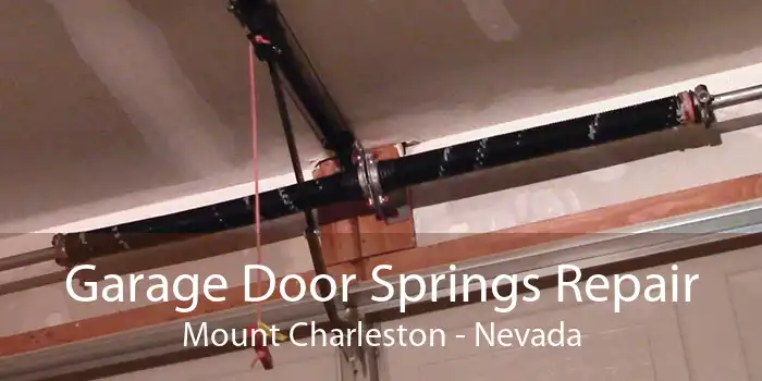 Garage Door Springs Repair Mount Charleston - Nevada