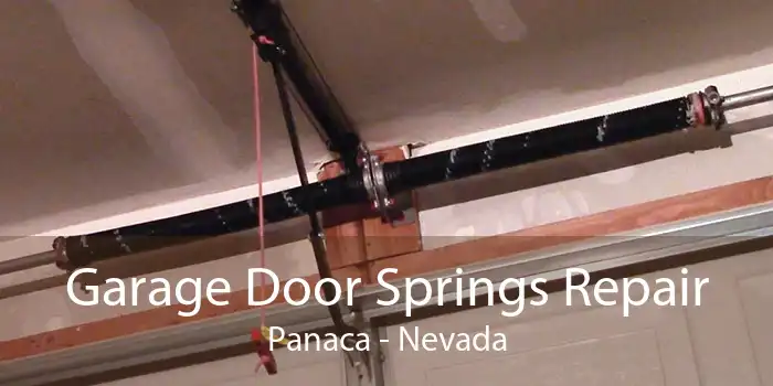 Garage Door Springs Repair Panaca - Nevada