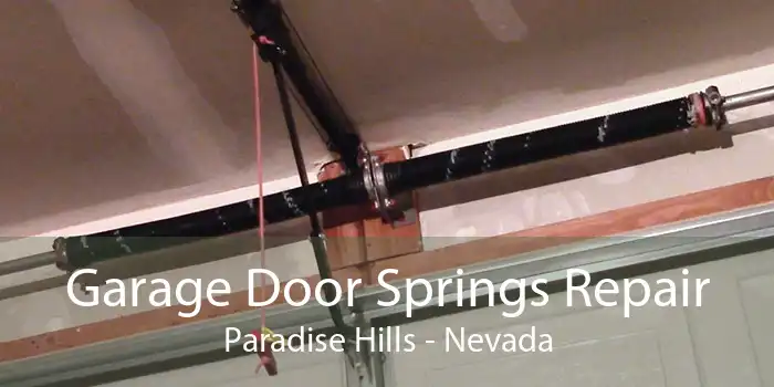 Garage Door Springs Repair Paradise Hills - Nevada