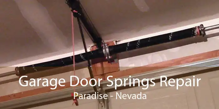 Garage Door Springs Repair Paradise - Nevada