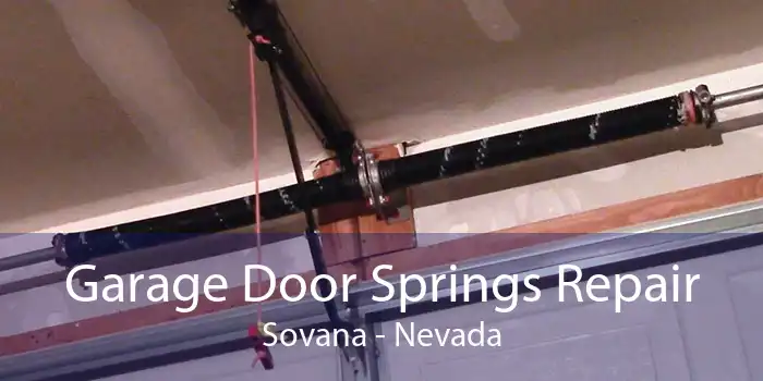 Garage Door Springs Repair Sovana - Nevada