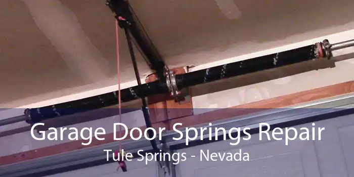 Garage Door Springs Repair Tule Springs - Nevada