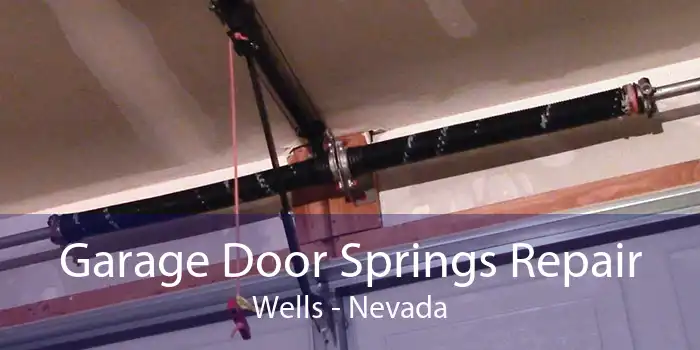 Garage Door Springs Repair Wells - Nevada