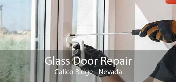 Glass Door Repair Calico Ridge - Nevada