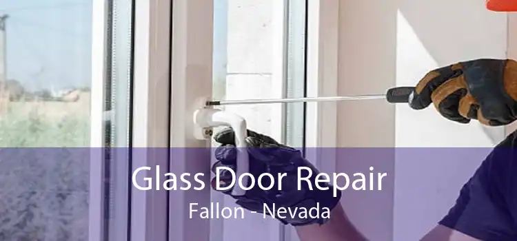 Glass Door Repair Fallon - Nevada