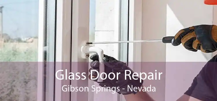 Glass Door Repair Gibson Springs - Nevada