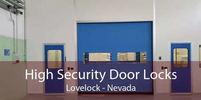 High Security Door Locks Lovelock - Nevada