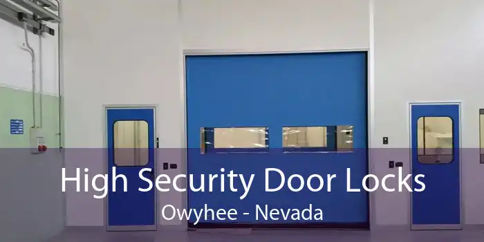 High Security Door Locks Owyhee - Nevada
