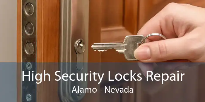 High Security Locks Repair Alamo - Nevada