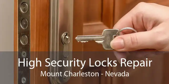 High Security Locks Repair Mount Charleston - Nevada
