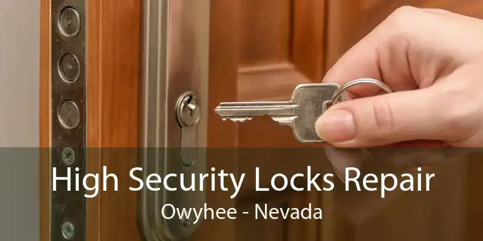 High Security Locks Repair Owyhee - Nevada