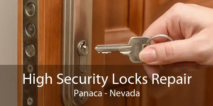 High Security Locks Repair Panaca - Nevada
