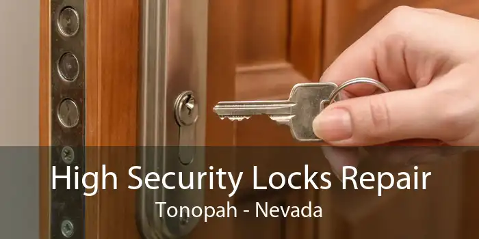 High Security Locks Repair Tonopah - Nevada