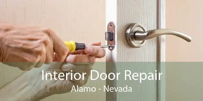 Interior Door Repair Alamo - Nevada