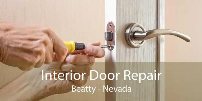 Interior Door Repair Beatty - Nevada