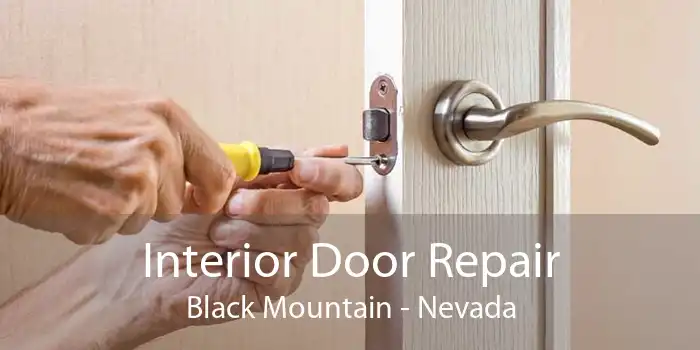 Interior Door Repair Black Mountain - Nevada