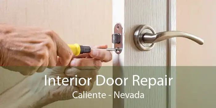 Interior Door Repair Caliente - Nevada