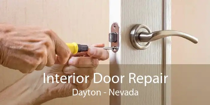 Interior Door Repair Dayton - Nevada