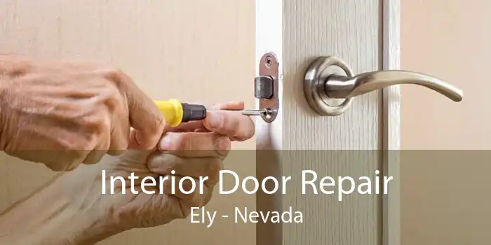 Interior Door Repair Ely - Nevada