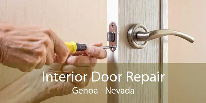 Interior Door Repair Genoa - Nevada