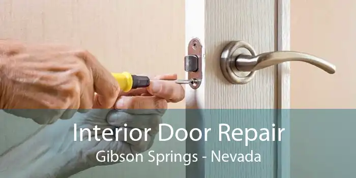 Interior Door Repair Gibson Springs - Nevada