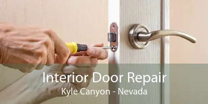 Interior Door Repair Kyle Canyon - Nevada