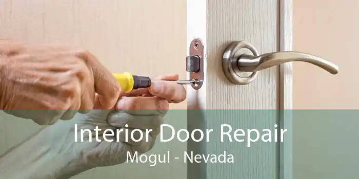 Interior Door Repair Mogul - Nevada