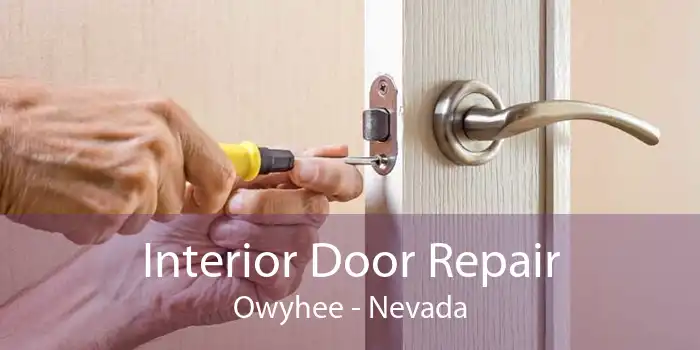 Interior Door Repair Owyhee - Nevada