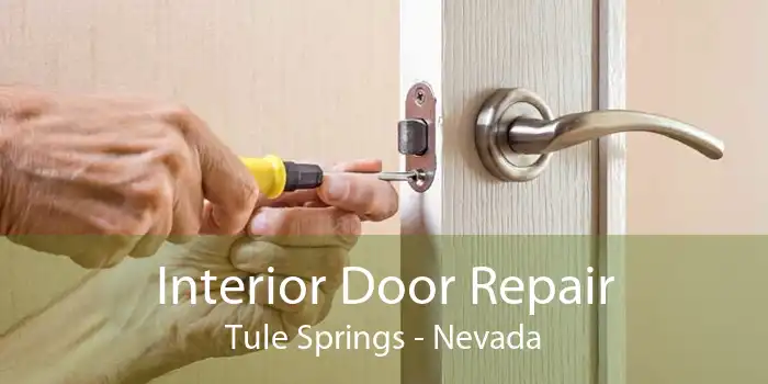 Interior Door Repair Tule Springs - Nevada