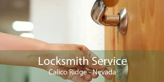 Locksmith Service Calico Ridge - Nevada