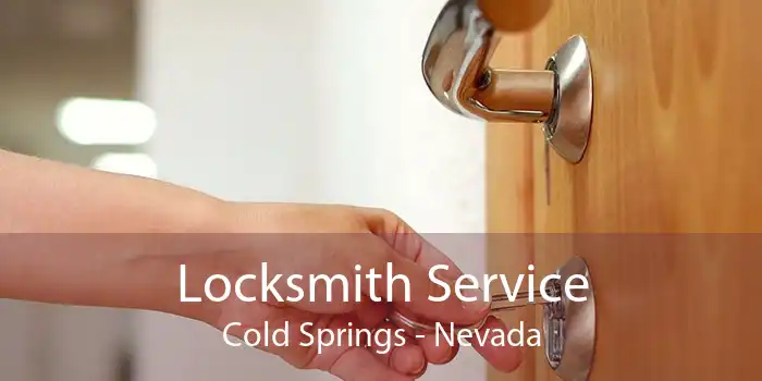Locksmith Service Cold Springs - Nevada