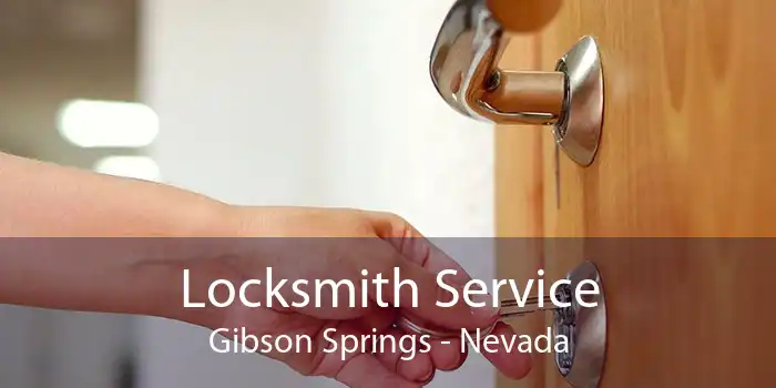 Locksmith Service Gibson Springs - Nevada