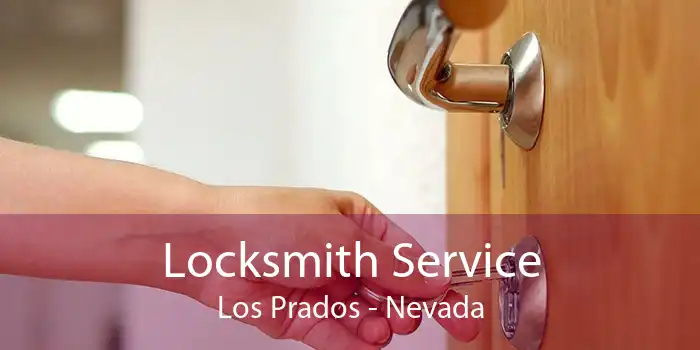 Locksmith Service Los Prados - Nevada