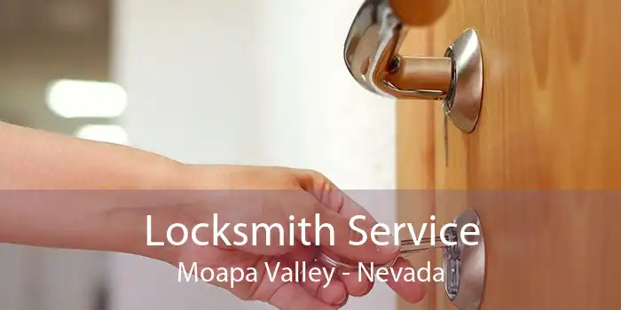 Locksmith Service Moapa Valley - Nevada