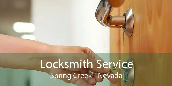 Locksmith Service Spring Creek - Nevada