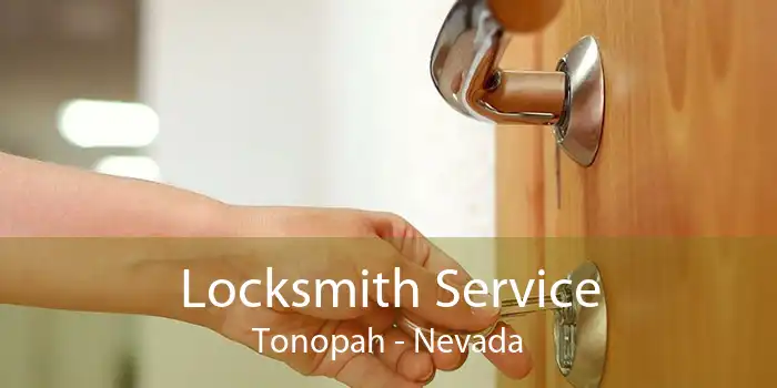 Locksmith Service Tonopah - Nevada