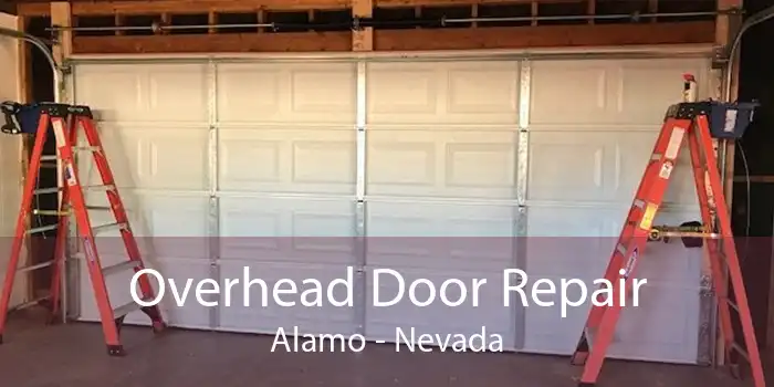 Overhead Door Repair Alamo - Nevada