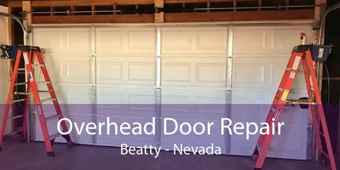 Overhead Door Repair Beatty - Nevada