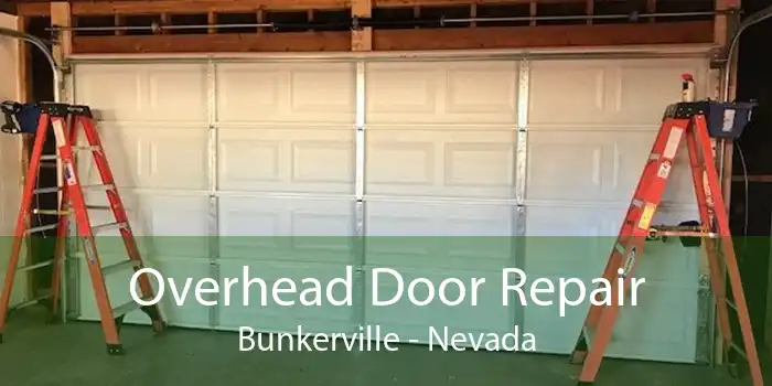 Overhead Door Repair Bunkerville - Nevada